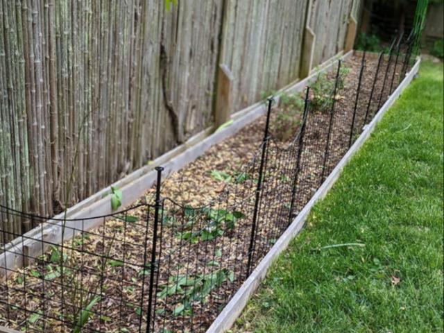 Black Metal Zippity Garden Fence (39in Tall)