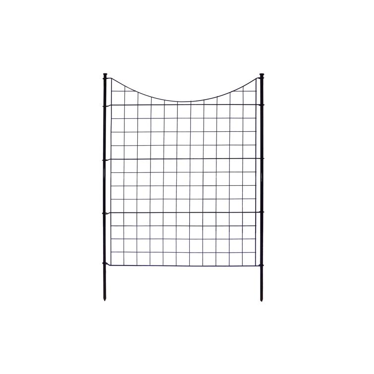 WF29002- Main White Background.jpg