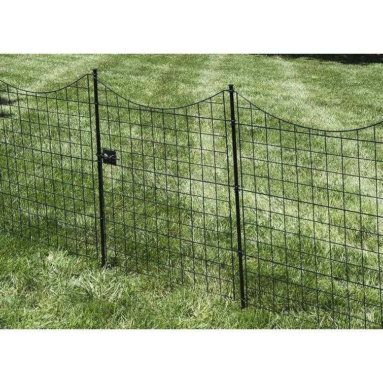 WF29012- Black Metal Gate Lifestyle Image.jpg