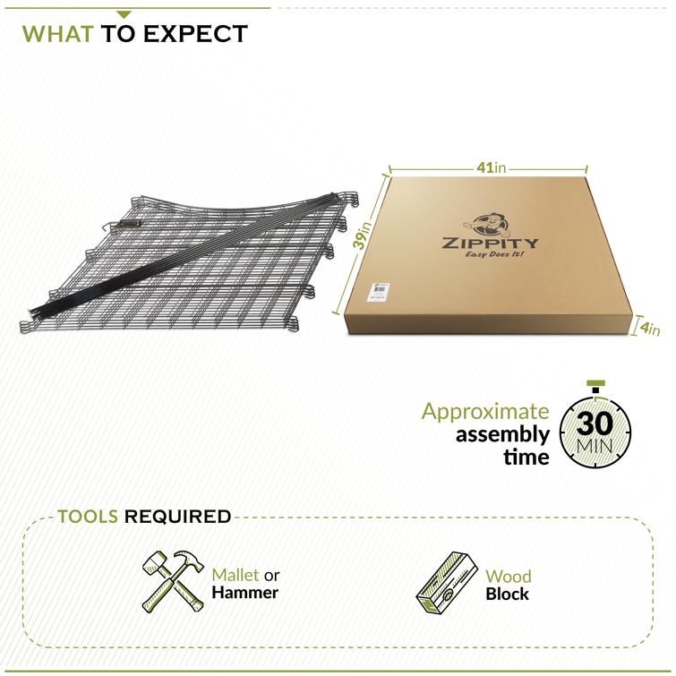 WF29014 - 08 - What to Expect.png