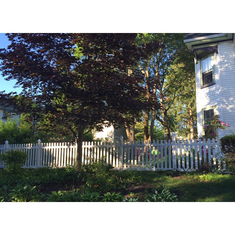 White Picket Fence