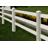 Horse Rail Vinyl Fence Lifestyle